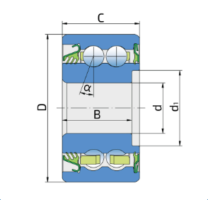 SL5204-TS / zweireihiges Schrägkugellager mit 3- fach Dichtung